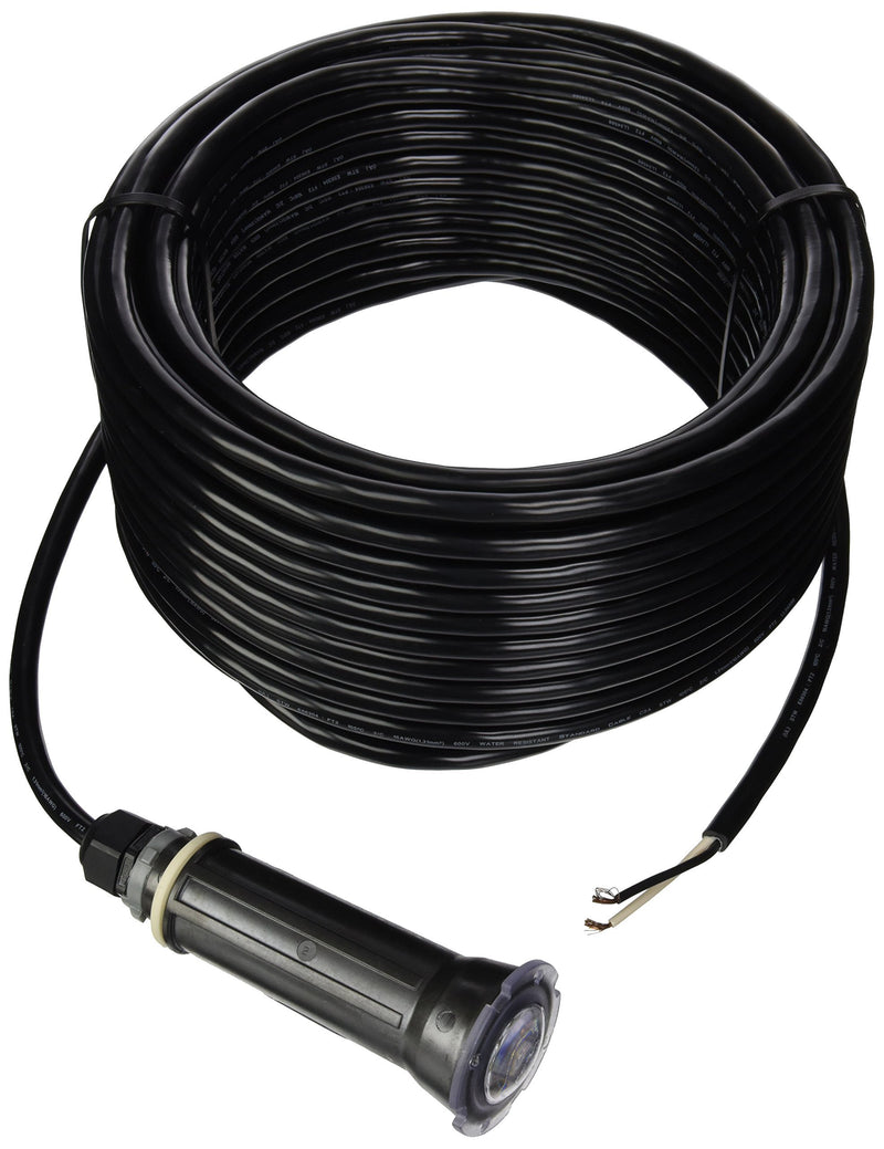 Pentair Water Pool and Spa 602055 Globrite for Swimming Pool, 100 Foot Cord